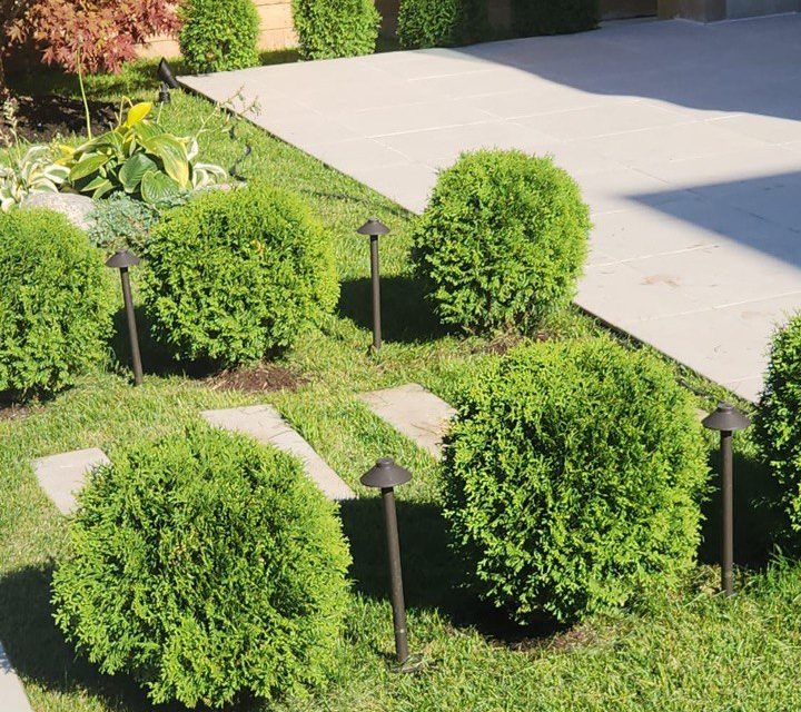 Landscape Lighting